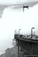 Fog City