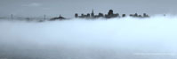Fog City