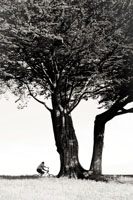 Distilled Moments