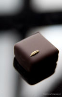 FENNEL - Ciel Chocolatier