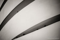 Simply Lines