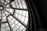 Simply Lines