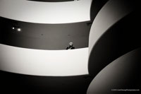 Simply Lines